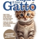 capire il tuo gatto